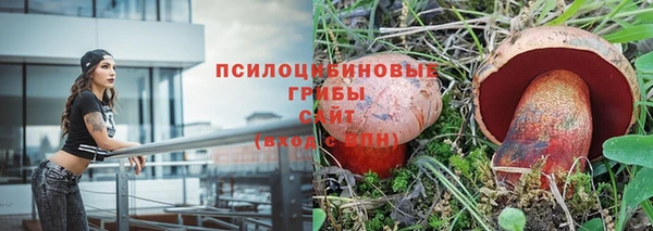 марки nbome Белокуриха