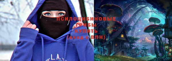 хмурый Белоозёрский